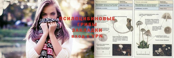 герыч Бородино