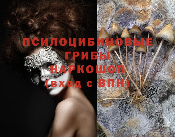первитин Бронницы