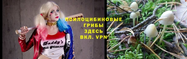 гашик Бугульма